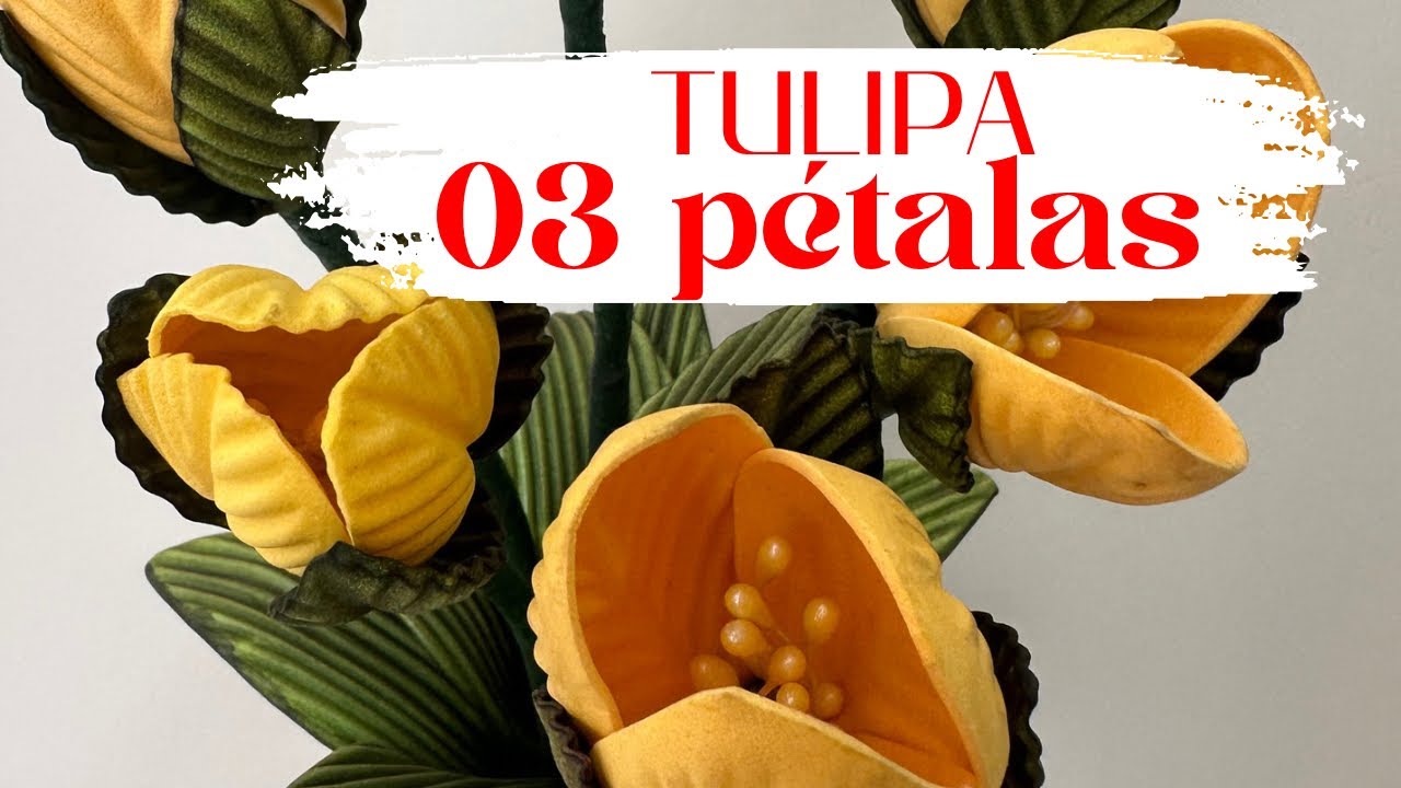 TULIPA 03 PÉTALAS - FLORES DA PIPOL