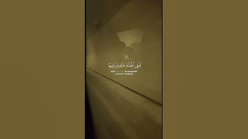 تلاوة خاشعة لآيات من كتاب الله #القرآن_الكريم #الله #اكسبلور #foryou #راحة_نفسية #foru