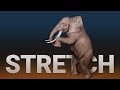 NVIDIA’s Stretchy Simulation: Super Quick! 🐘