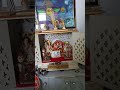 पट खोल दे पुजारीमंदिर के #song #sor #sor #funny #love #lovemusic #dance #sorts #comedy #mus