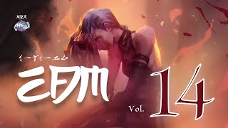 EDM Vol. 14 – Fragile Heart of Jinx | Emotional Anime Cyber Pulse