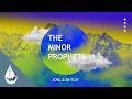 "A Pouring Out…" (Joel 2:28-3:21) - Terry Smith