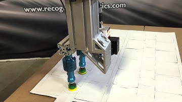 Recognition Robotics - Robeye Robot Guidance