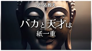 【ブッダの教え】バカと学者の対話〜先入観で人を判断してはダメ〜【バカと天才は紙一重】