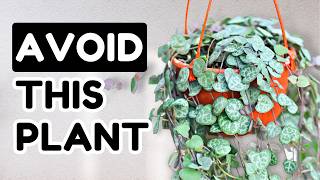 10 Popular Plants You Shouldn't Buy