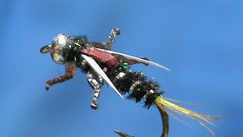 Beginner Fly Tying a LivelyLegz Fancy Prince with Jim Misiura