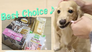 小型犬のオススメフードのご紹介-ミニチュアダックスフンドのかわいい日常 #30