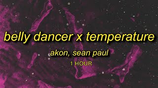 [1 HOUR] Belly Dancer x Temperature (TikTok)