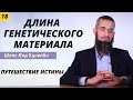 Путешествие истины 18 (длина генетического материала в твоём теле)