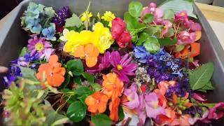 Eco Steaming Flowers with Household Iron | Demonstration with Flowers and Leaves