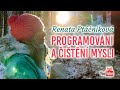 ŽIVĚ: Renata Ptáčníková – Programování a čištění mysli