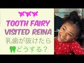 Tooth fairy visited Reina / アメリカで乳歯が抜けるとどうなる?