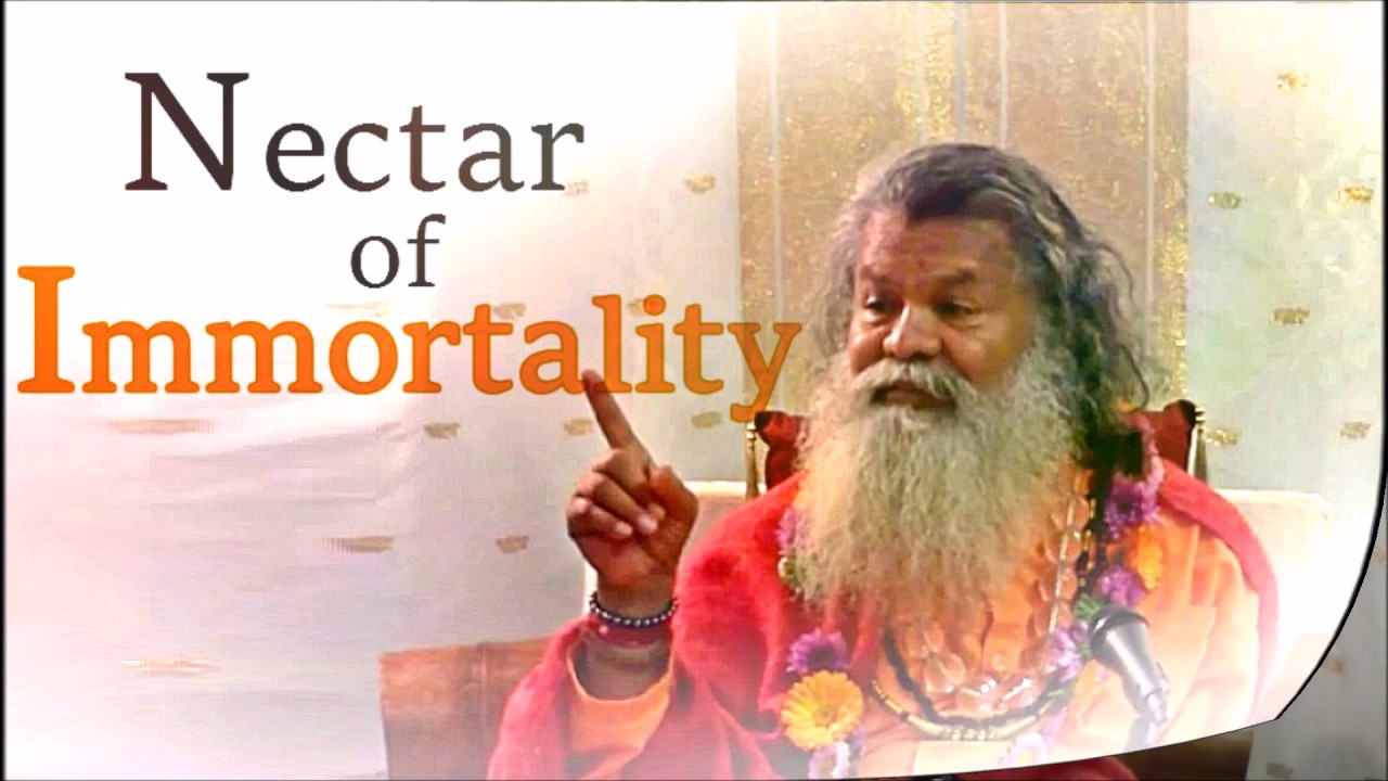 Nectar of Immortality