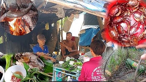 Thăm lờ ; cá lóc nướng lai rai sị đế giữa cánh đồng Nước nổi #mùanướcnổi