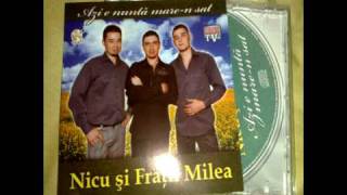 Nicu si Fratii Milea - Azi e nunta mare-n sat.avi