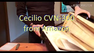 Unboxing Cecilio CVN-300 Violin