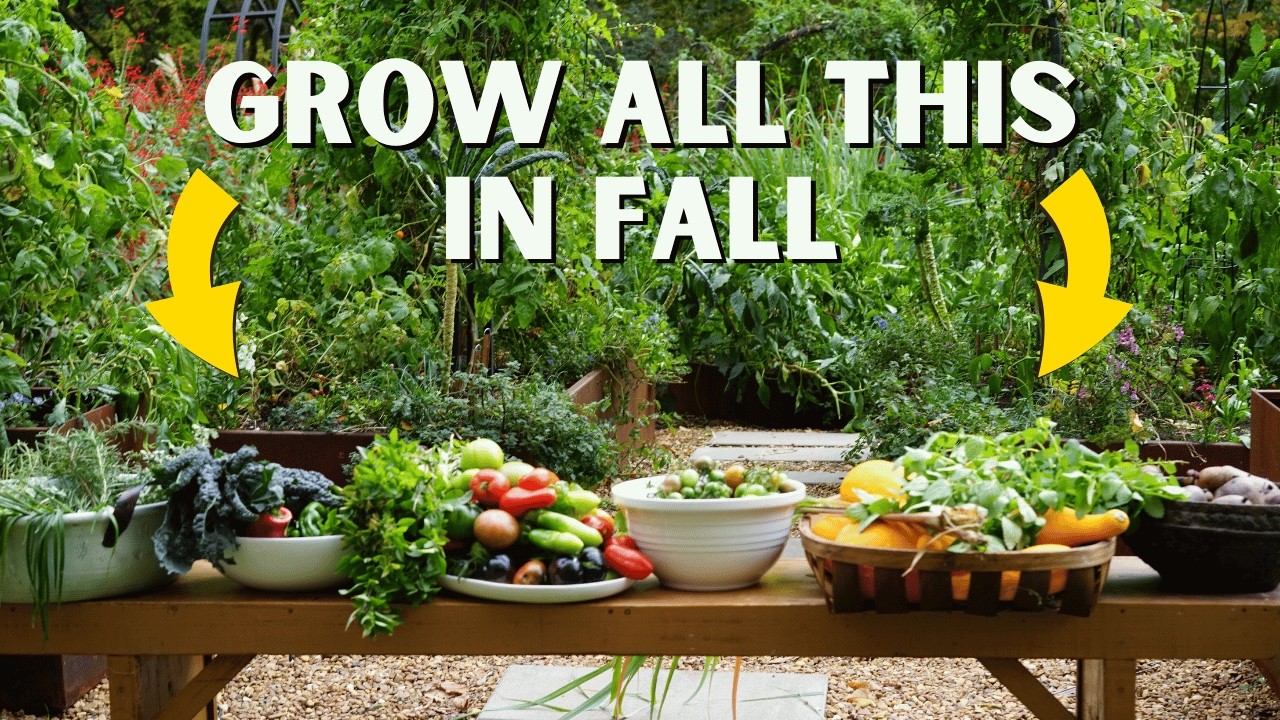 Why Fall Is Actually The Best Season To Garden (Don't Miss Out!)