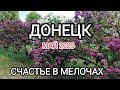 Донецк.Май 2025 Счастье в мелочах
