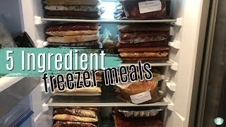 5 Ingredient FREEZER MEALS  Fill Your Freezer!