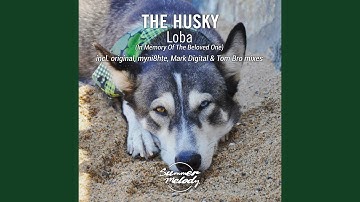 Loba (Original Mix)