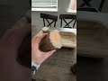 HONEST REVIEW! Flameless candles