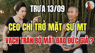 Thầy Thích Minh Tuệ Bị CEO Phương Hằng Chửi Thẳng Mặt – Phản Ứng Khiến Ai Cũng Sững Sờ!