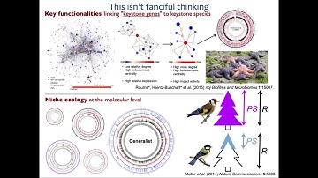 Systems Ecology of the Human Gut Microbiome Dr  Paul Wilmes, University of Luxembourg