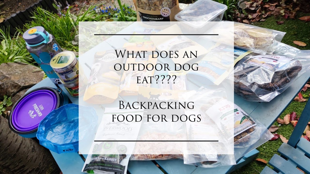 What does an outdoor dog eat?? Backpacking food for dogs. YouTube