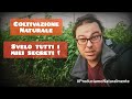 Tutti i Miei SEGRETI della Coltivazione Naturale