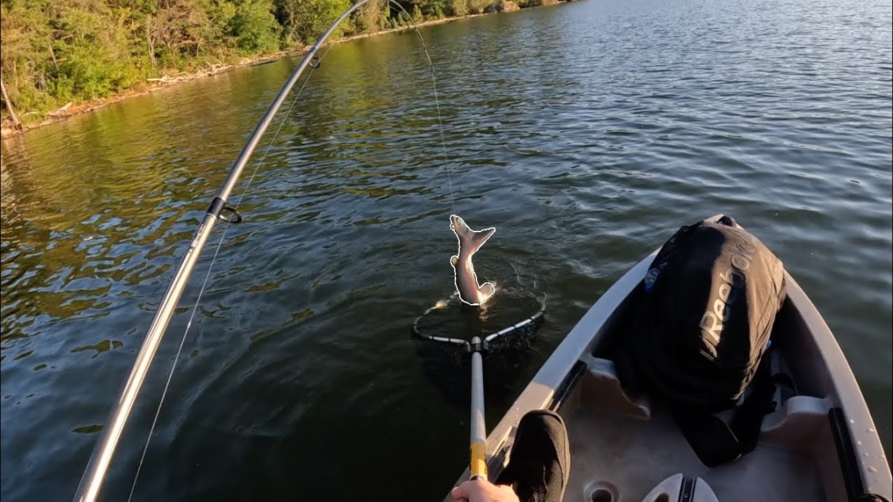Kayak Fishing For BASS... caught THIS Instead Lake Rhodhiss Kayak