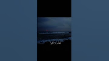 فَاسْتَجَابَ لَهُمْ رَبُّهُمْ أَنِّي لَا أُضِيعُ عَمَلَ||تلاوة خاشعة بصوت الشيخ ماهر المعيقلي 💗🌿