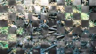 Rasteryaev Ig Georgievskaya Lentochka Poiskovaya