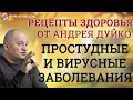 Вебинар по здоровью от Андрея Дуйко, 28.11.20