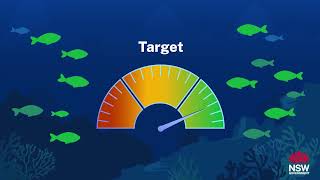 What are reference points? Net Worth