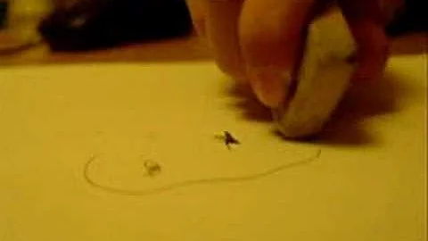 BBAA01 Transforming Shapes Yajun Chen wmv