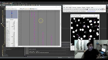 Using biological information and physics of cell motion in tracking using TrackMate