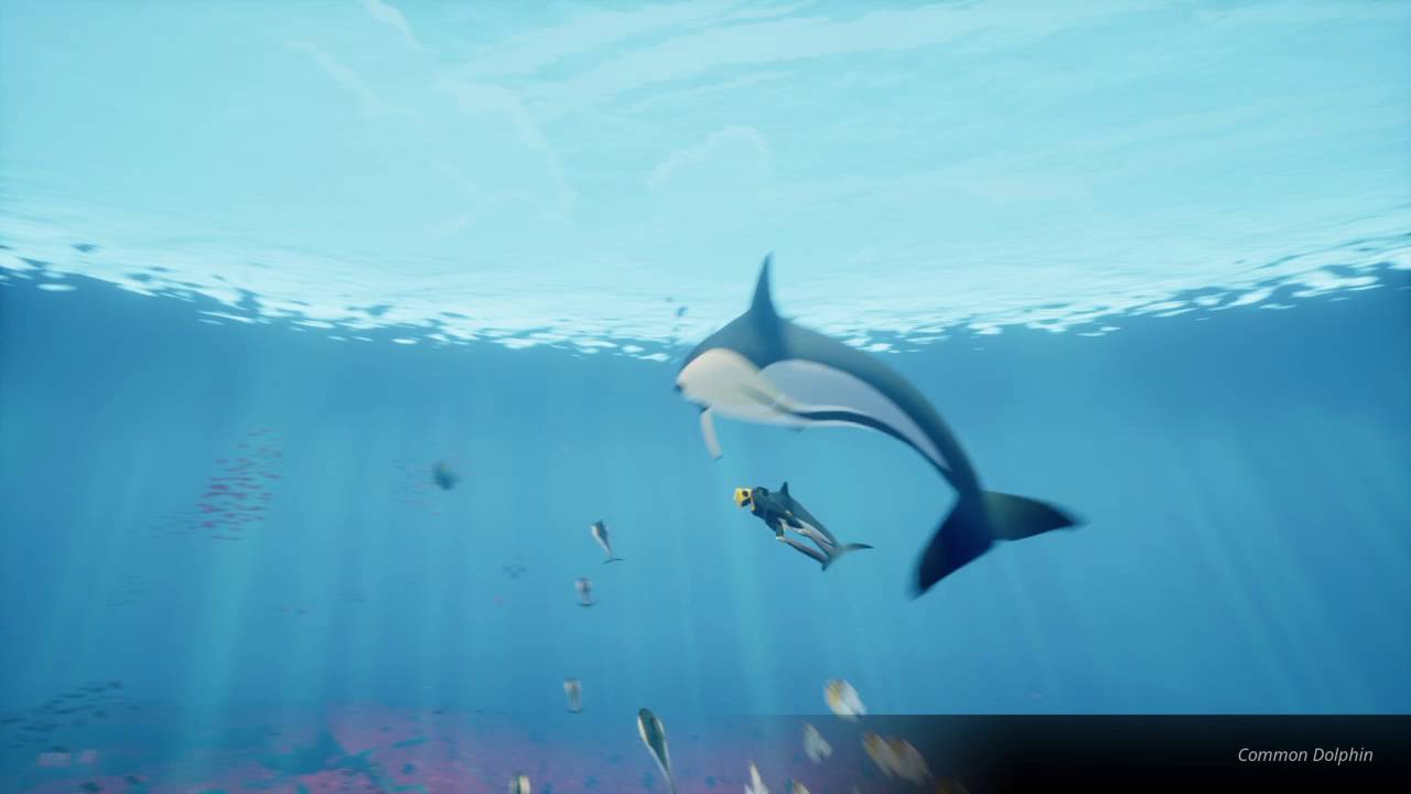 ABZÛ Breaching with a Dolphin