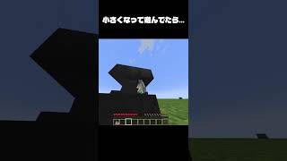 マイクラで小さくなるMOD使ってたら... #マイクラ #minecraft #java#mod