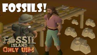 One line of text that changes everything...  Fossil island only #3