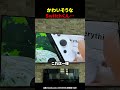 Switchにそんなの見せないで