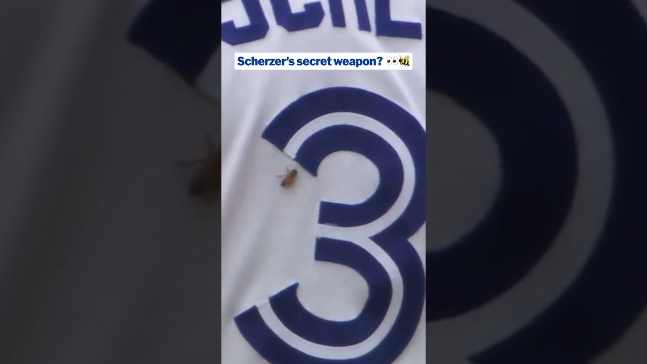 Max Scherzer got an interesting assist on this strikeout 🐝