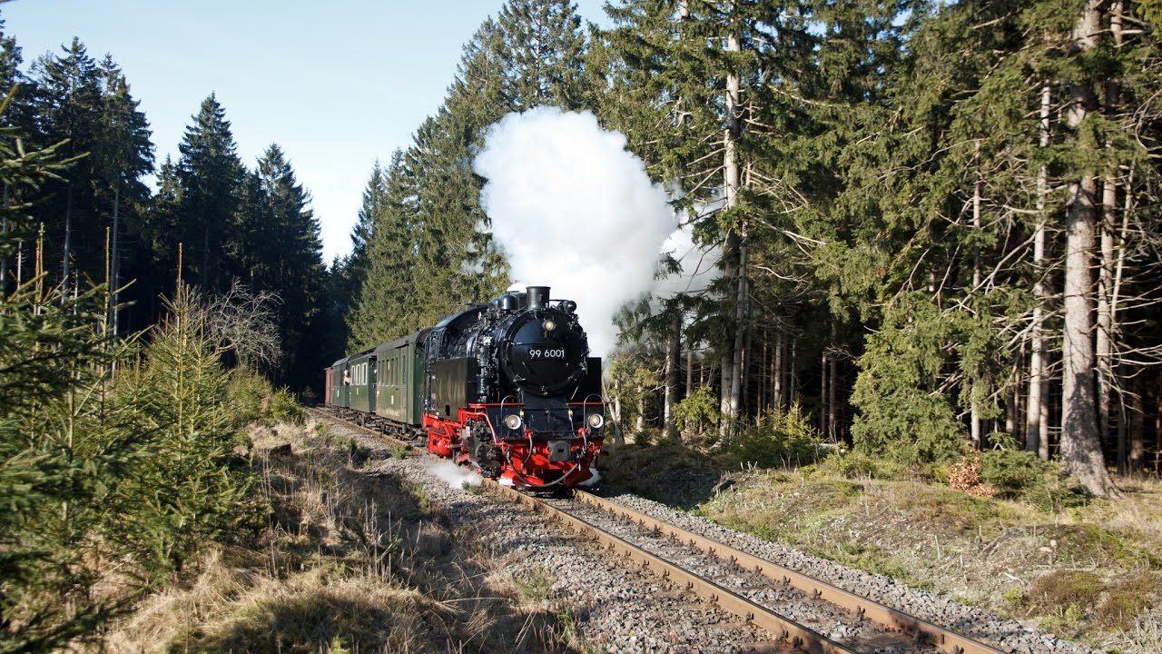 99 6001 - Zwischen Wernigerode und Eisfelder Talmühle