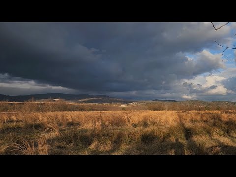 ზამთრის წვალება დღე 16 - ხელები (ბუნებაში)