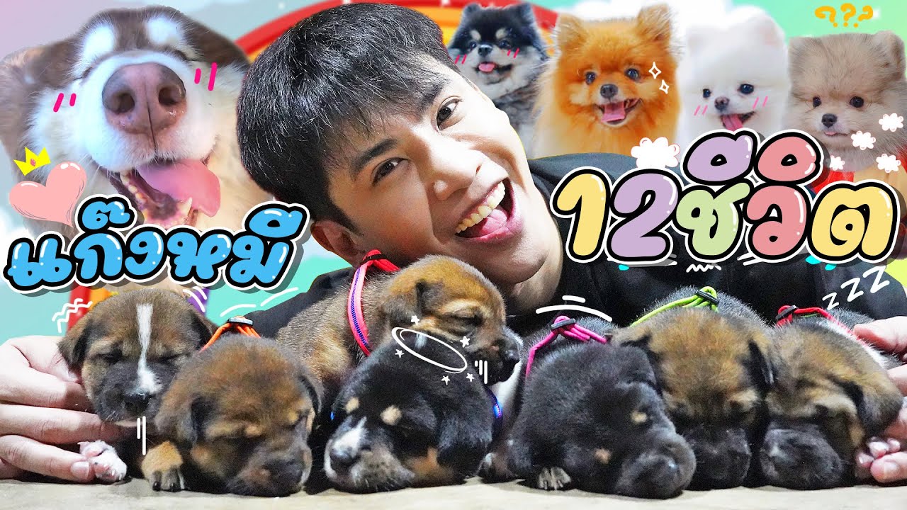 ผมมีภาระ12ชีวิต ที่ต้องดูแลครับ.. (ไม่มีเวลาหาแฟนแล้วครับ)