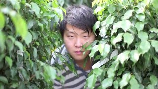 "Is This Organic?" screenshot 5