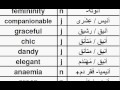 TAE01أر  قاموس عربي إنجليزي, Arabic English Dictionary