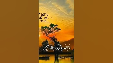 #تلاوة_خاشعة #اسلام #قرآن #المصحف #الرحمن #love #عبدالرحمن_مسعد #عبدالرحمن_السديس