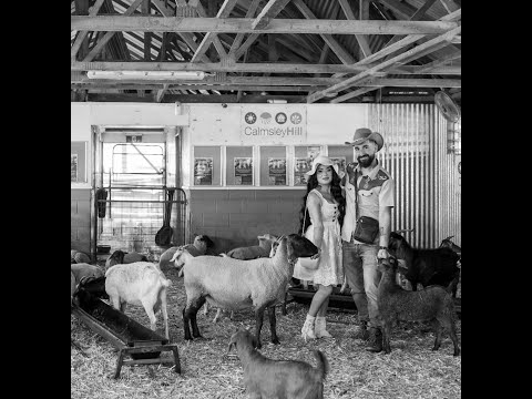 عروسی ساهر و فابرونيا 