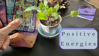 POSITIVE ENERGIES  Zodiac DAILYISH  Blessings Before November 2020