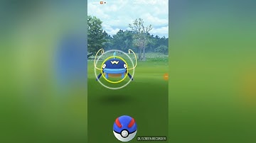 Catching Whiscash (evolved from Barboach) in Pokemon go (New Gen 3 Pokemon).